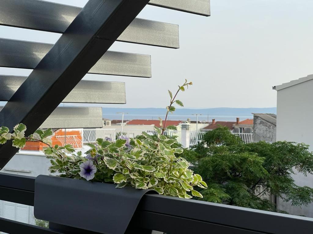 Villa Jadranka Apartments Tučepi Eksteriør billede